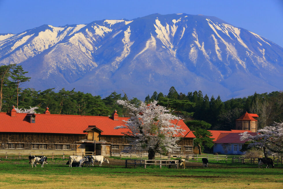 岩手の農場